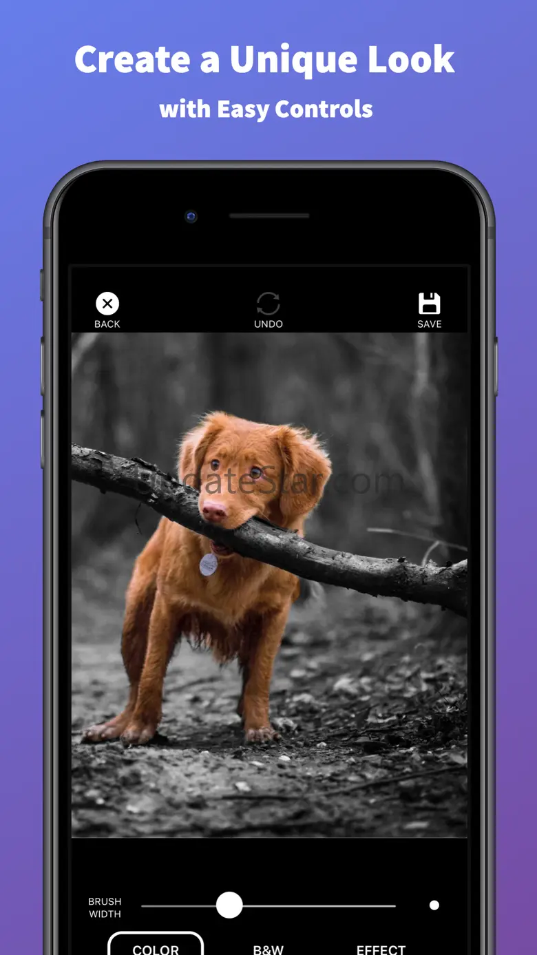 Splash of Color Pro 1.4