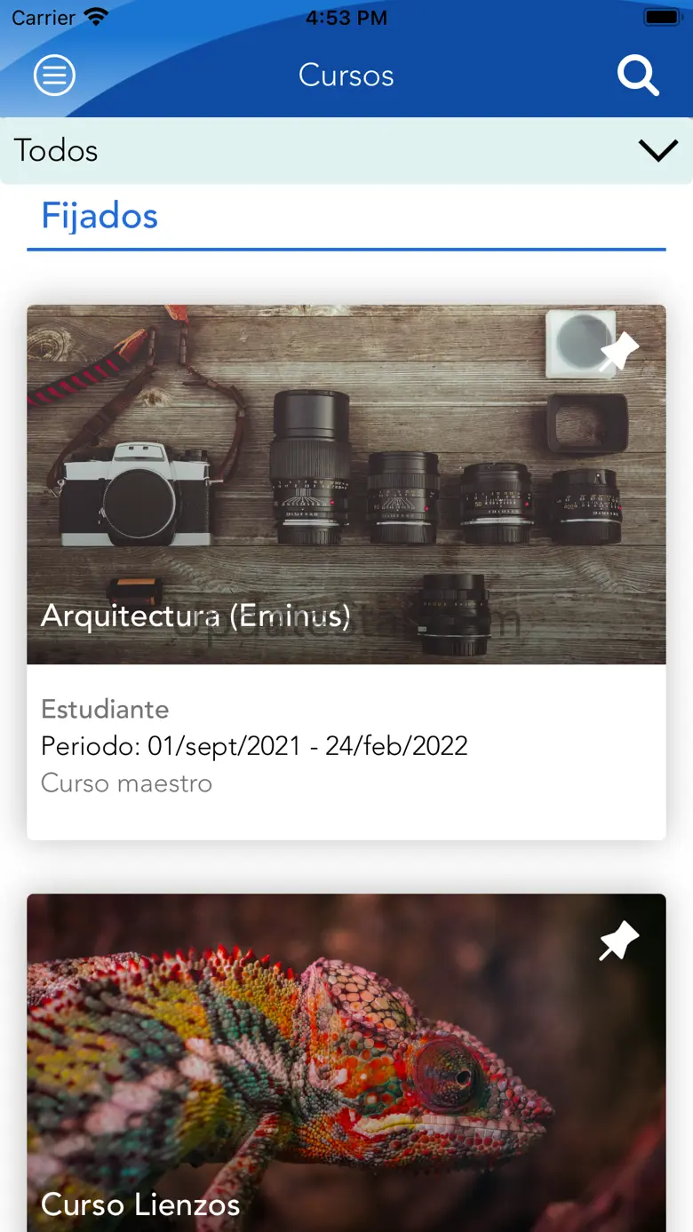 Eminus 1.3
