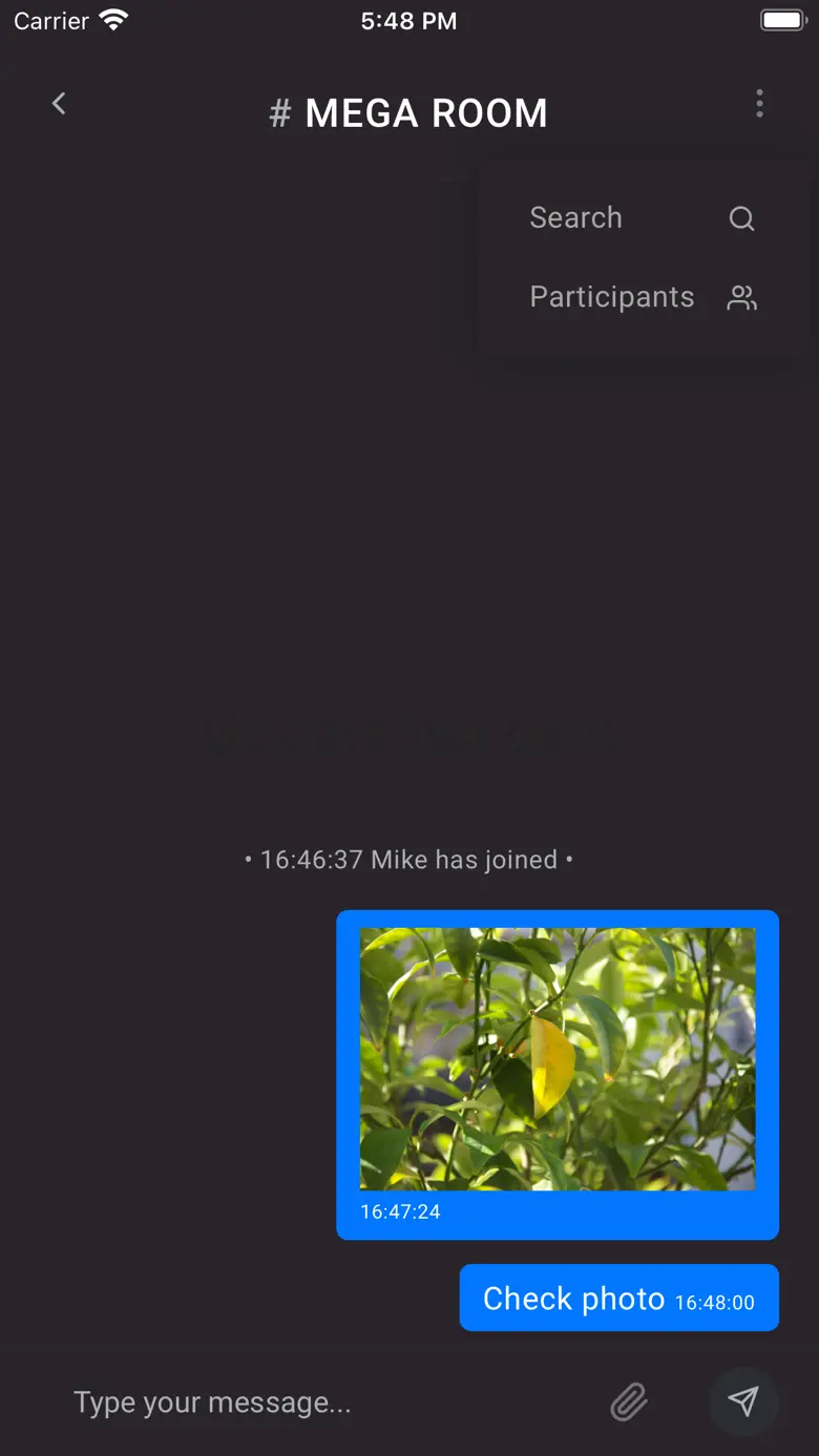 Mega Chat 1.0