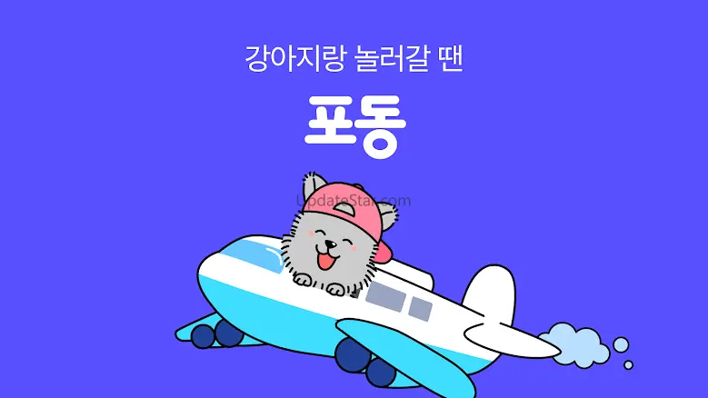 포동 - 반려견과 여행갈 땐, 포동 2.5.0