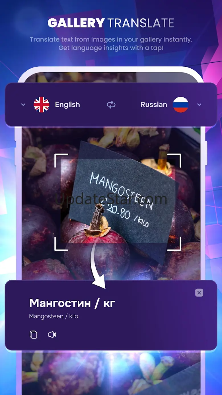 Translateasy Lingual Assistant 2.4.0