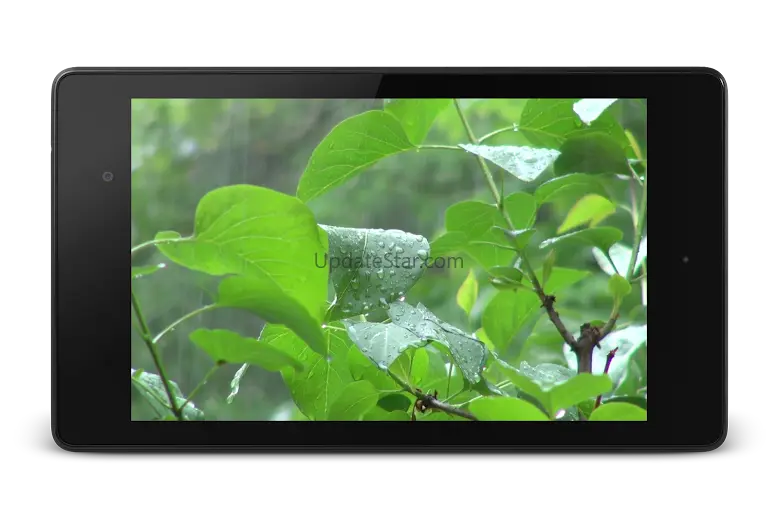 Rainstorm Video Live Wallpaper 4.0