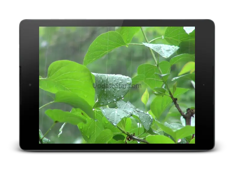 Rainstorm Video Live Wallpaper 4.0