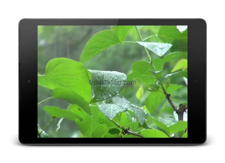 Rainstorm Video Live Wallpaper 4.0