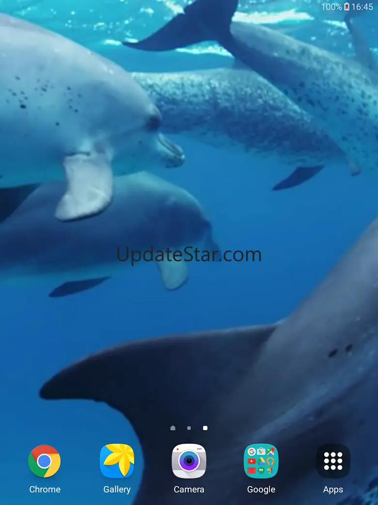 Dolphins Live Wallpaper 11.0
