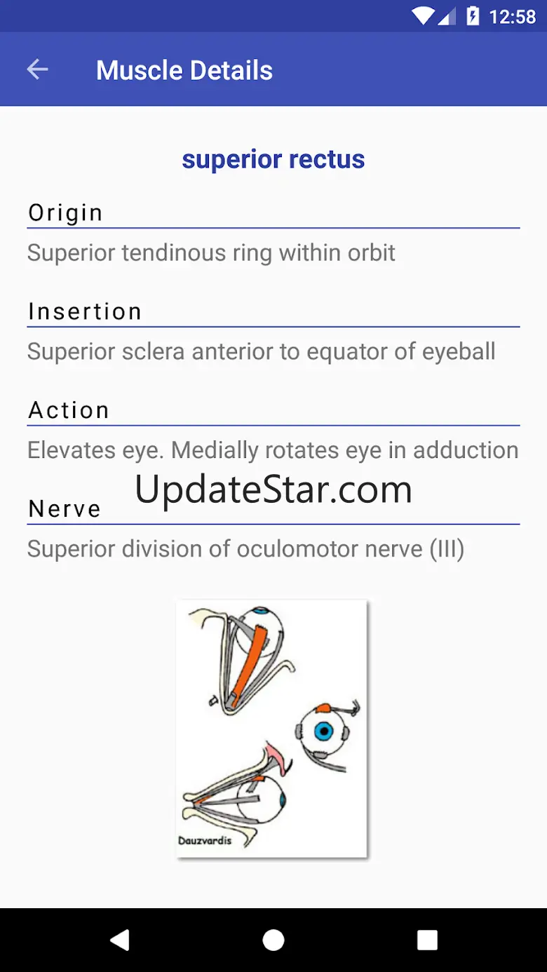 Anatomy Muscles v1.14