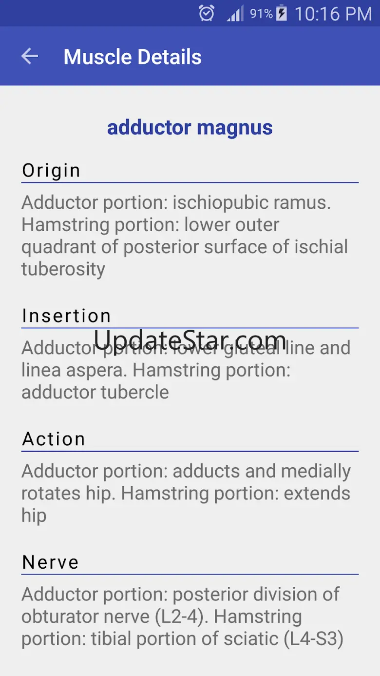 Anatomy Muscles v1.14