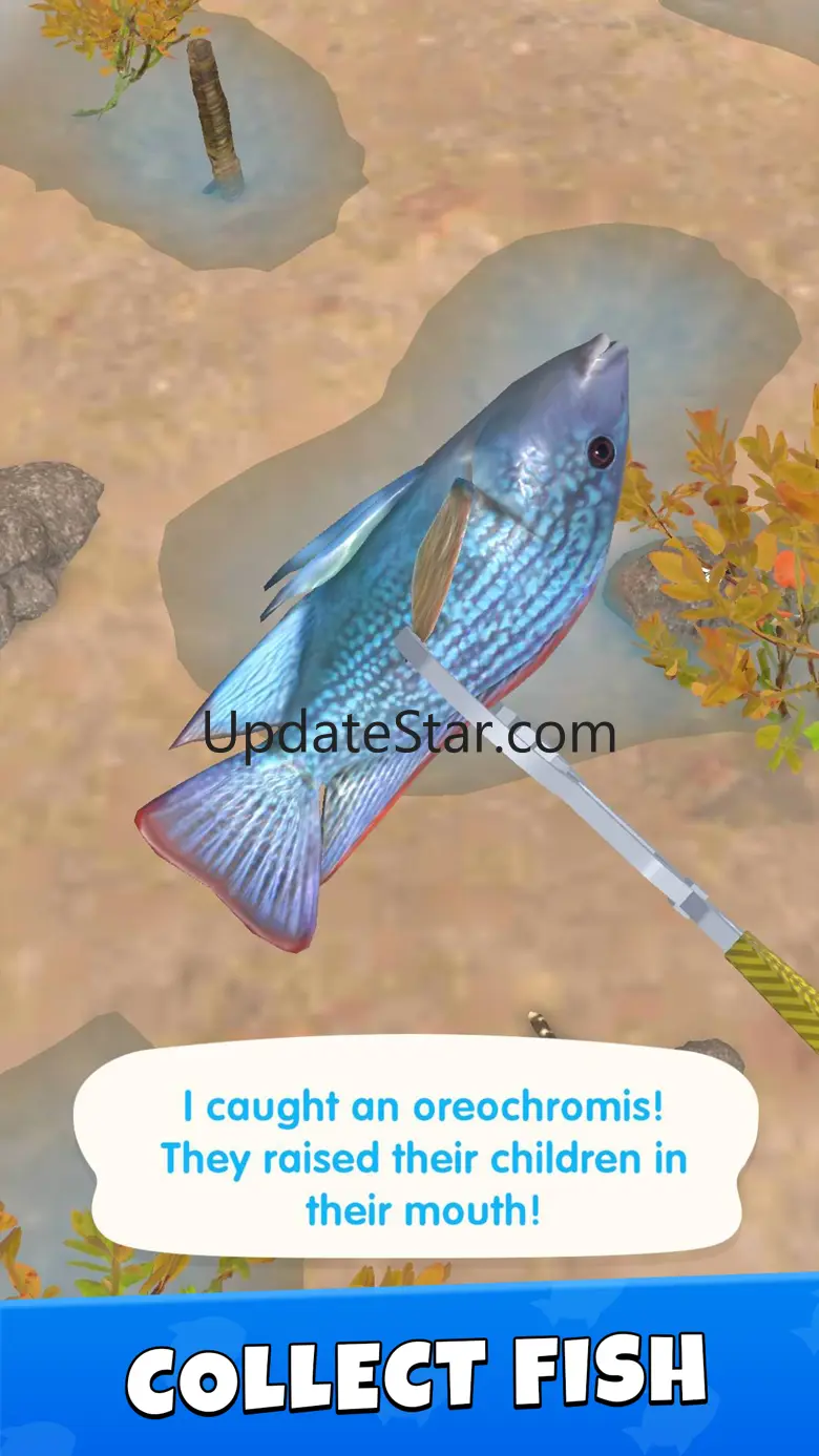 Catch Fish! 1.0.2