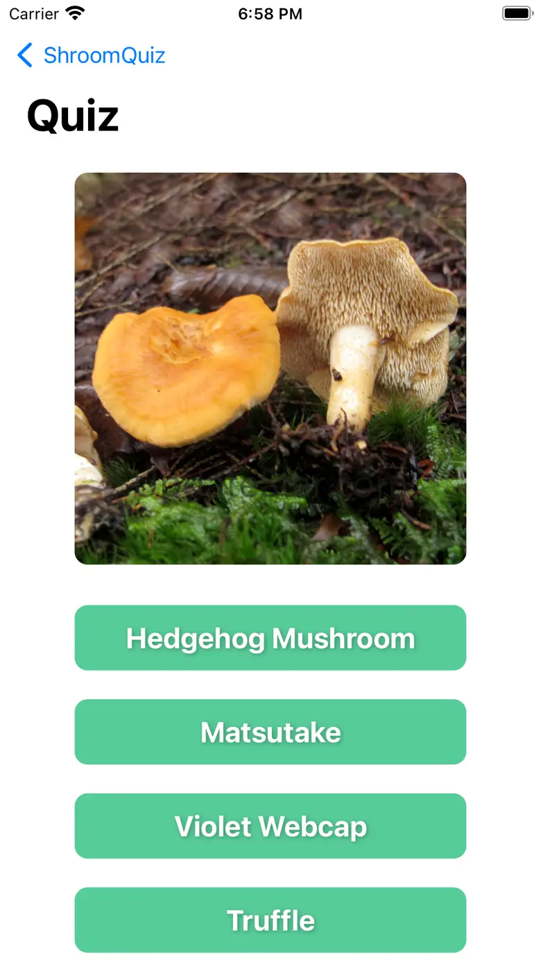 ShroomQuiz 1.0