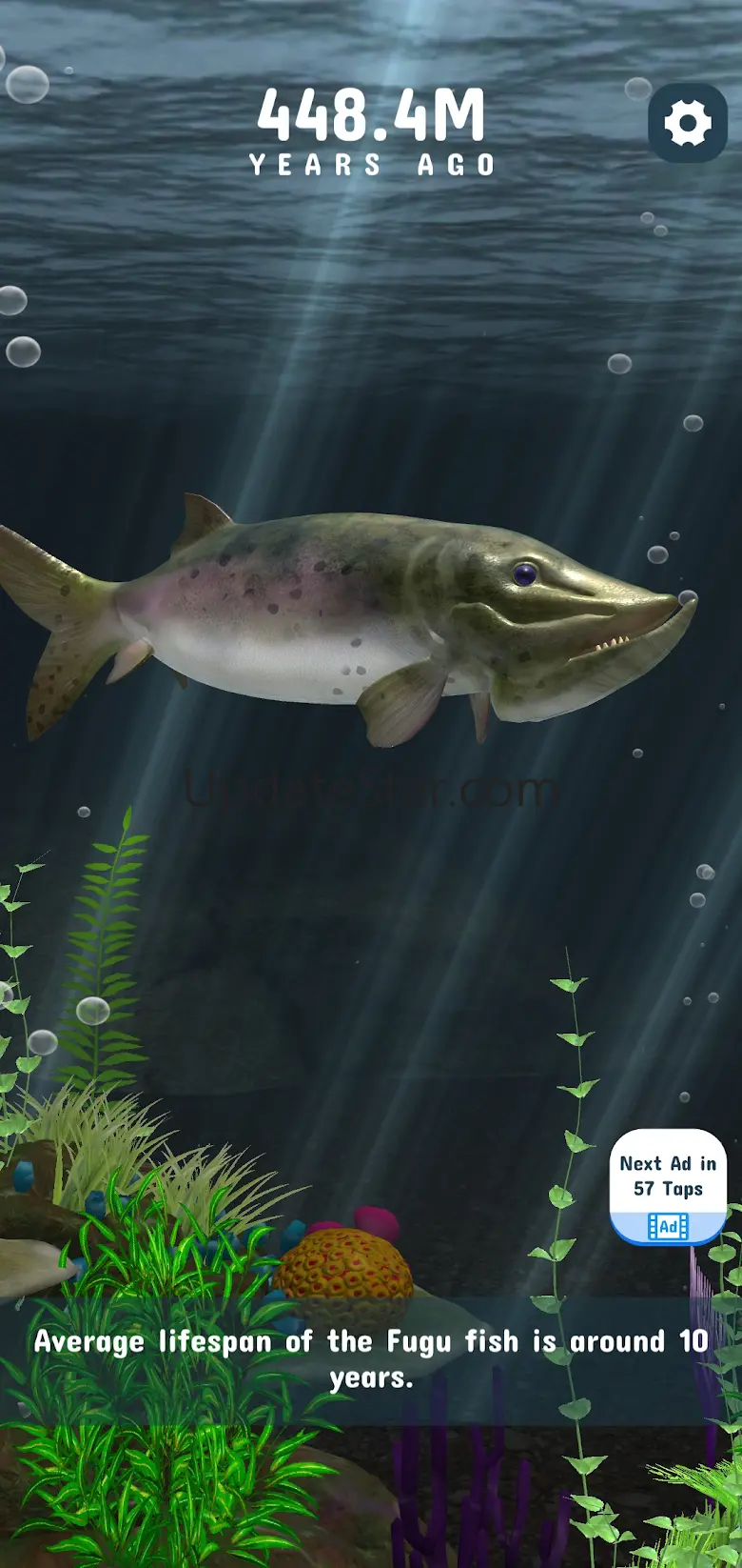 Evolution Clicker 1.0