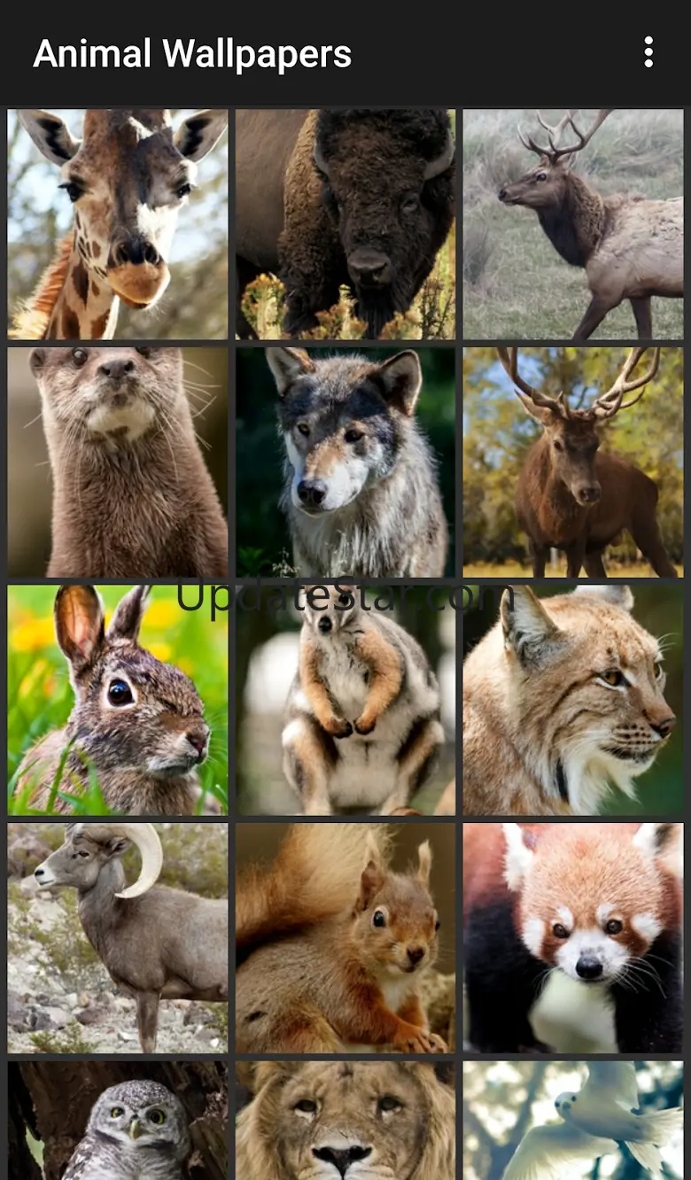 Animal Wallpapers 3.7