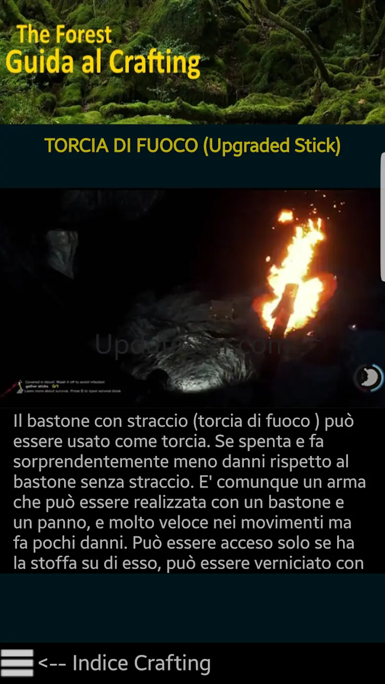Guida al crafting the forest 2.0