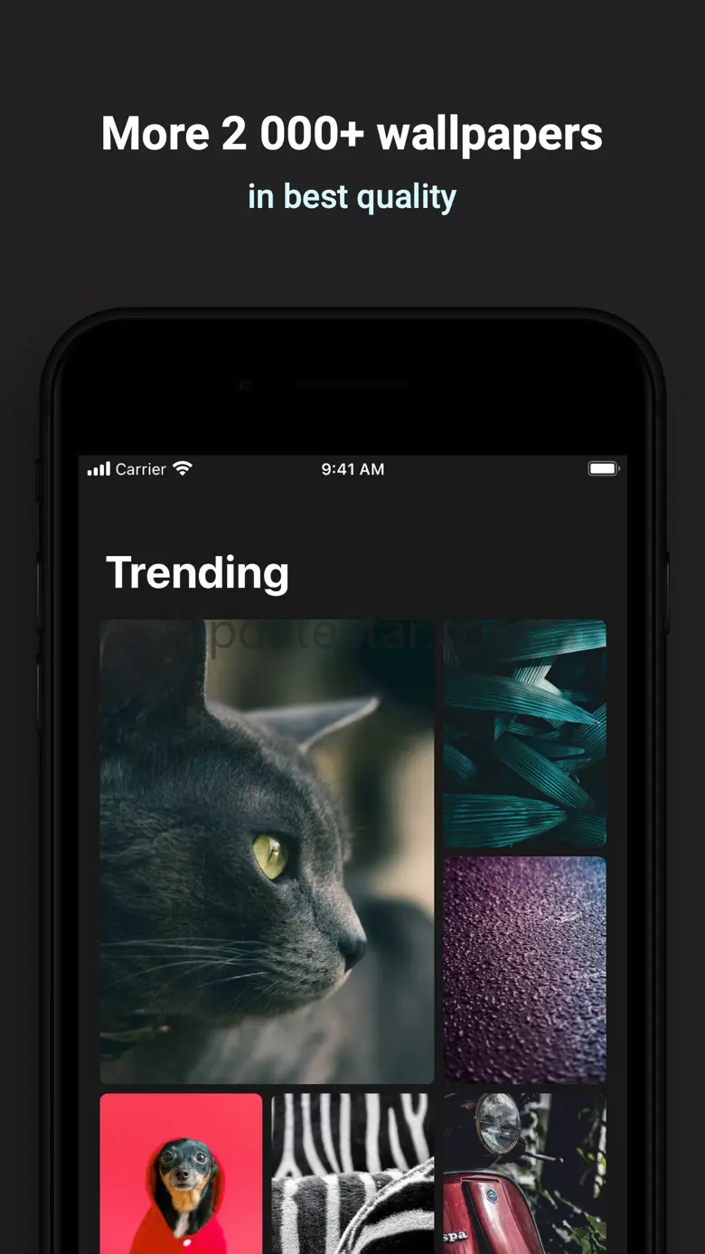 Wally - Best Wallpapers 1.1.2