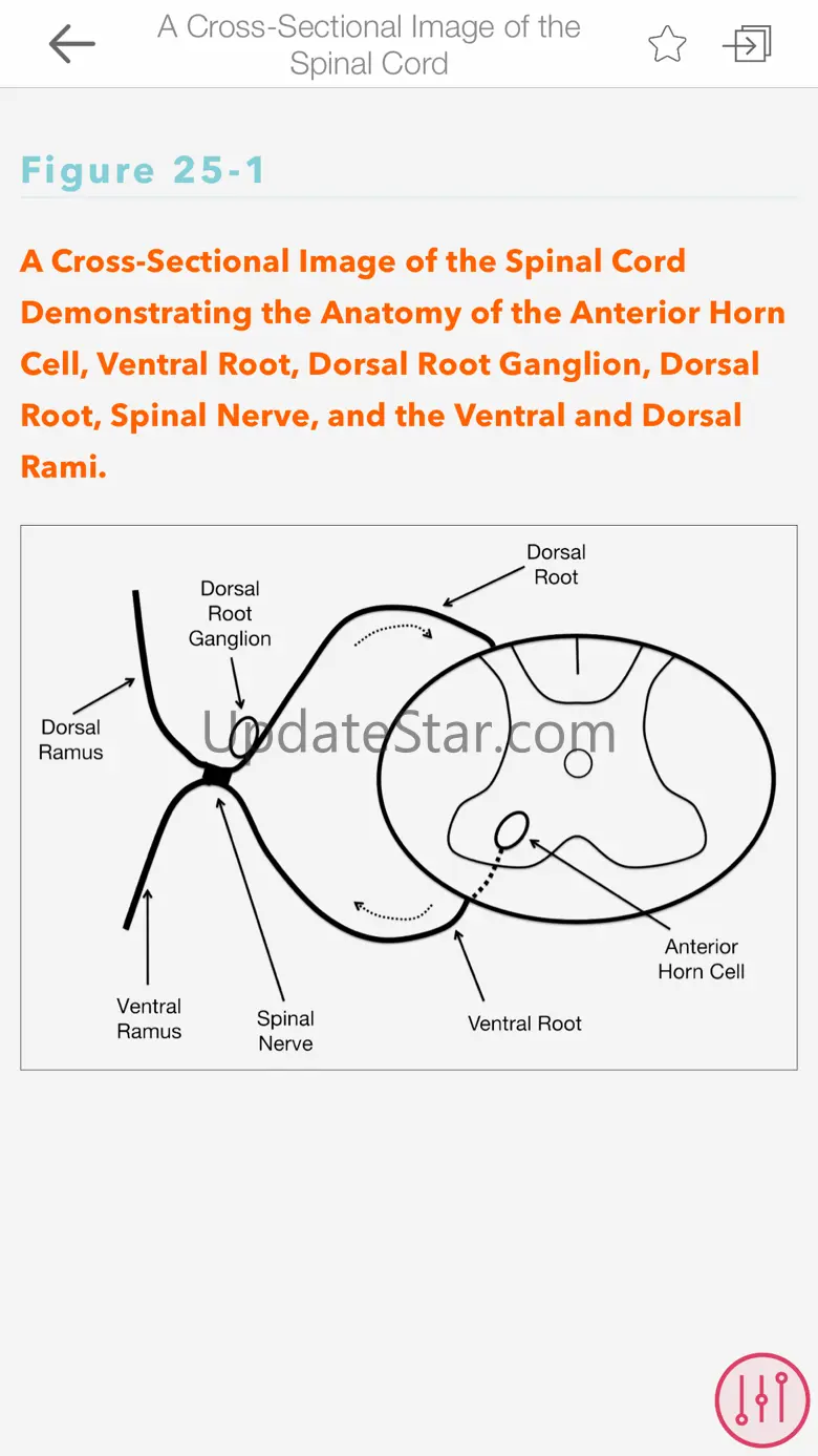 McLean EMG Electrodiagnostic 5.1.1