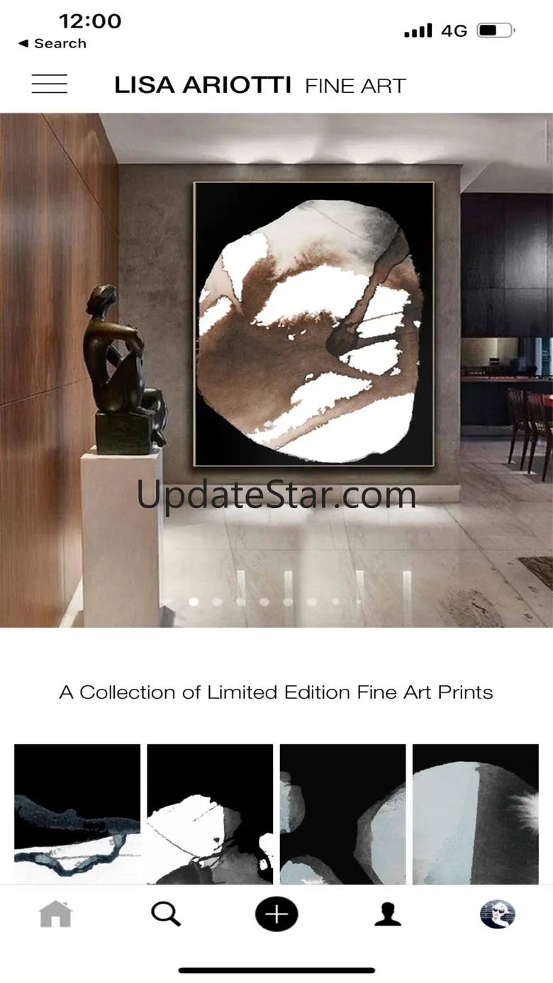 Lisa Ariotti Fine Art 1.0