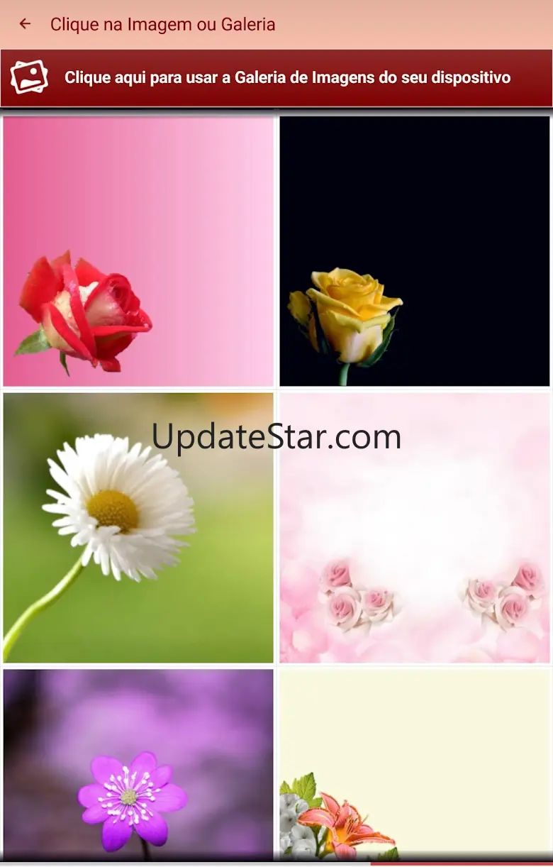 Mensagens e Frases com Flores 7.0