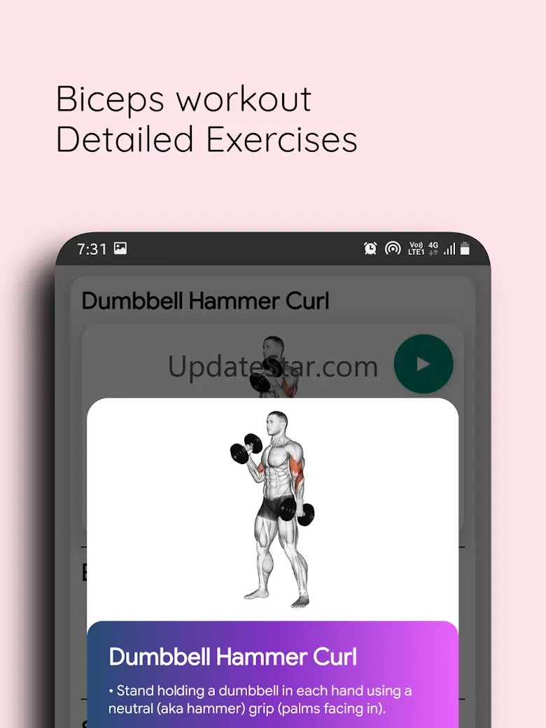 Triceps Workout: Arm Workout 2.60