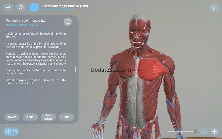 AR Anatomy 24.30.1