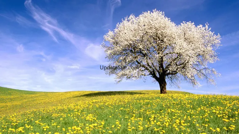 Nature Backgrounds HD 1.0.4