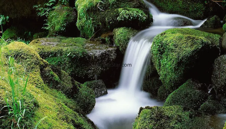 Nature Backgrounds HD 1.0.4