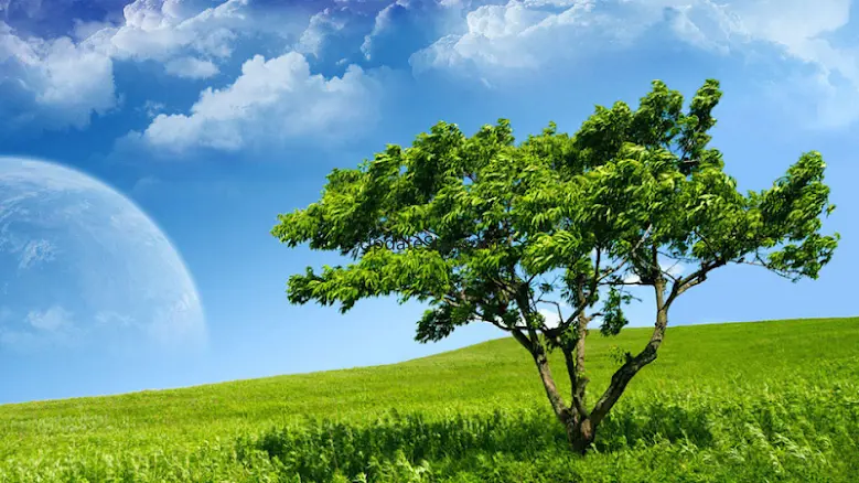 Nature Backgrounds HD 1.0.4