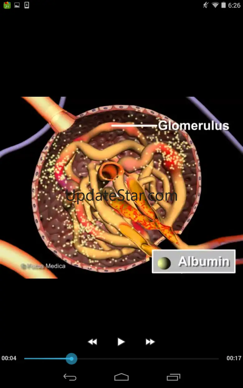 Urology - Medical Dictionary v1.1
