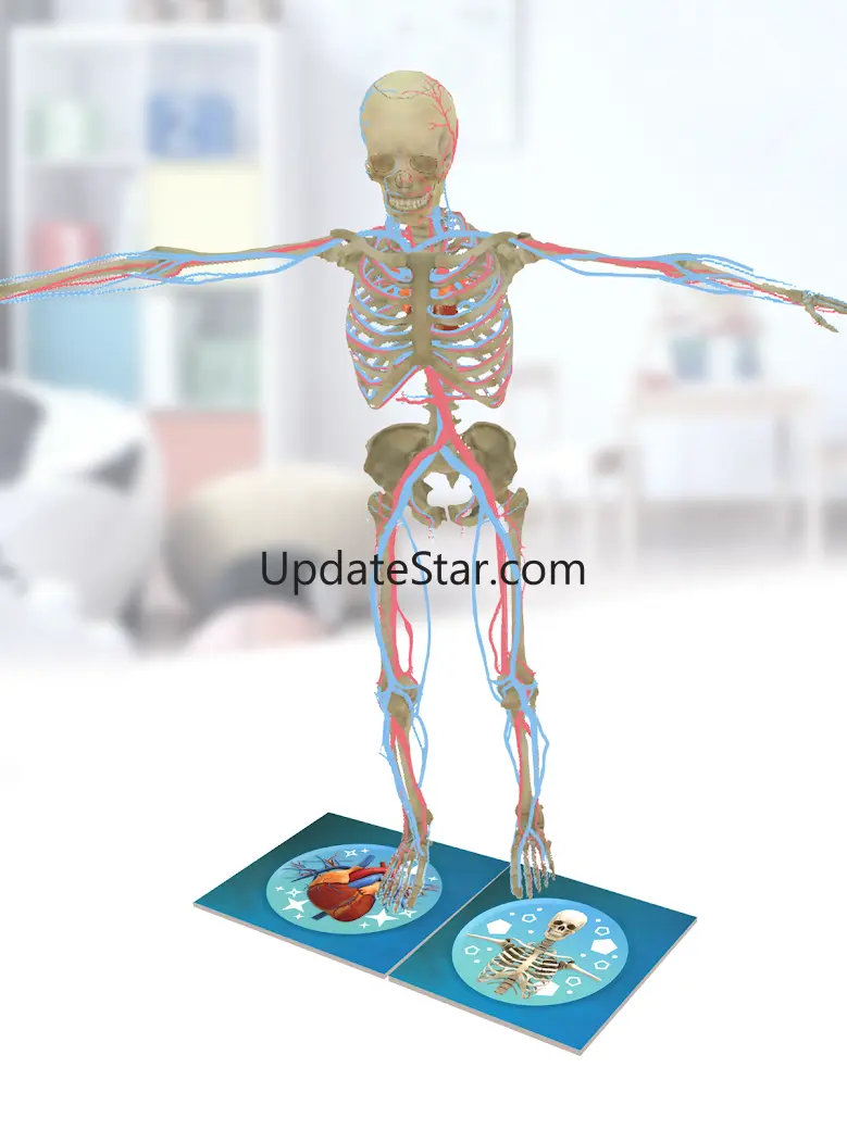 Anatomia Super 1.1.2