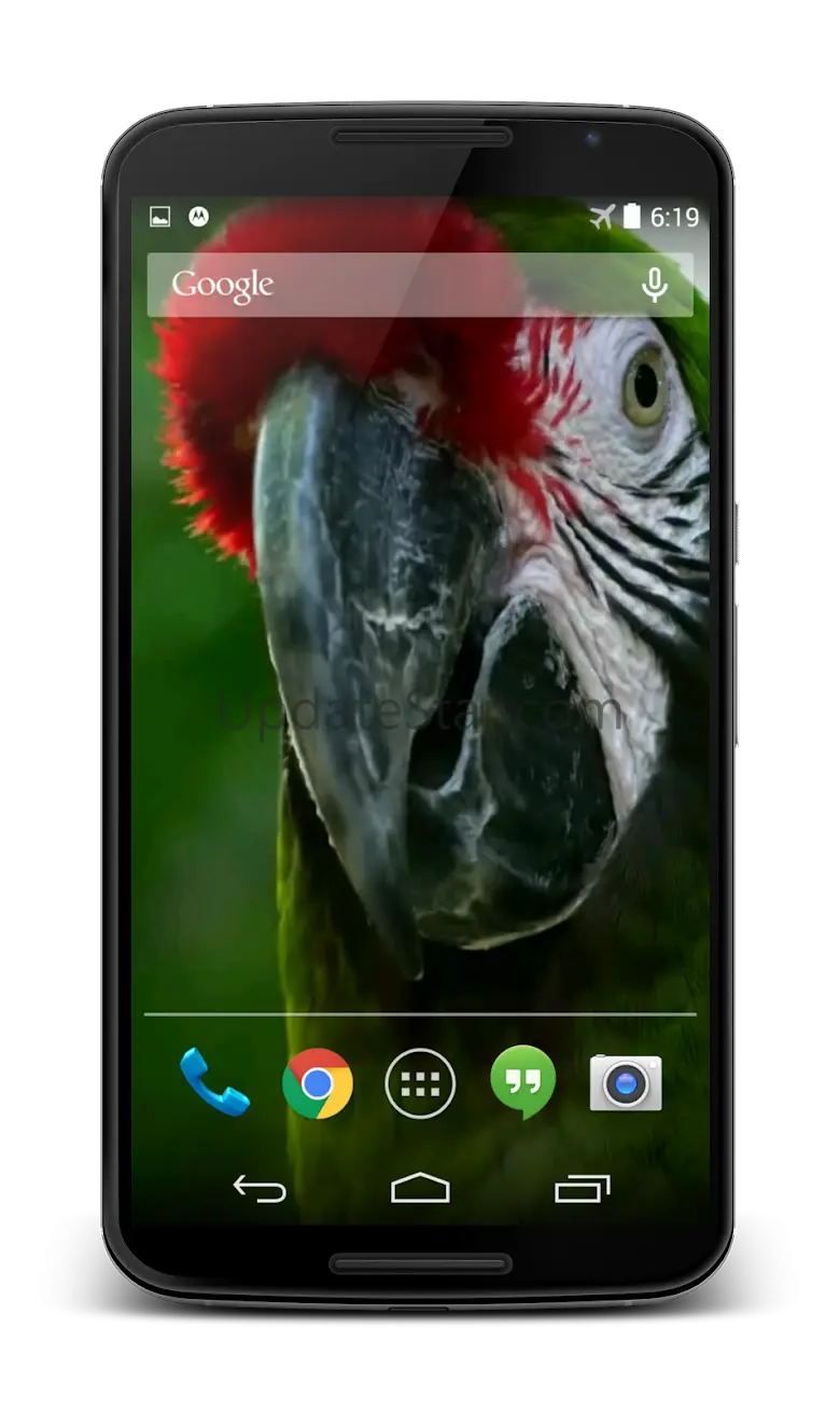 Parrot 3D Video Live Wallpaper 6.0