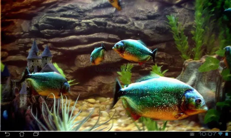 Piranha Aquarium 3D lwp 1.0