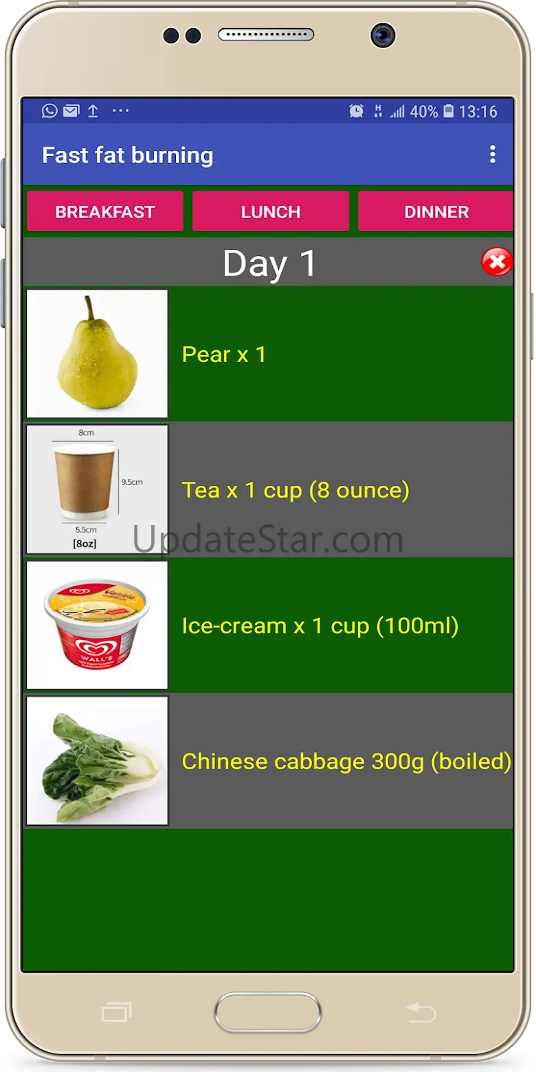 Fast Fat Burning Diet Plan 3.4.2.0