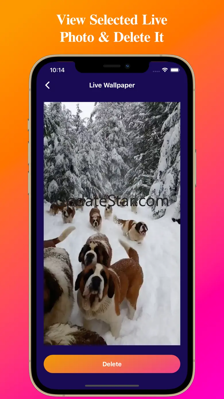 Video To Live Wallpapers 3.2