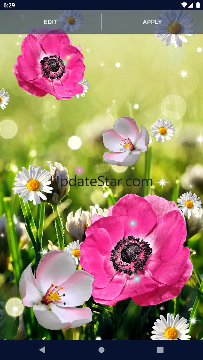 Pink Flower Live Wallpaper 6.10.2