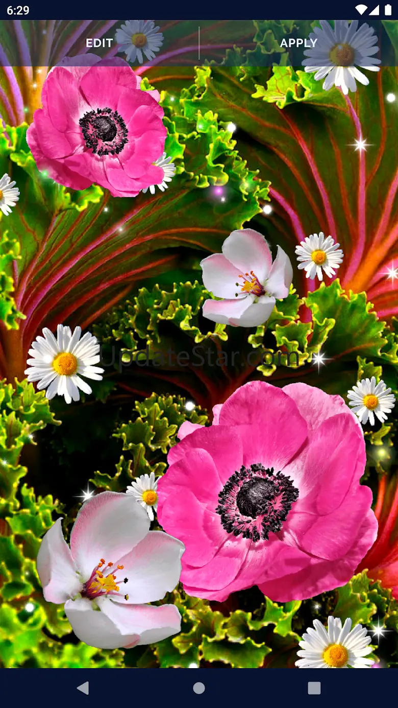 Pink Flower Live Wallpaper 6.10.22