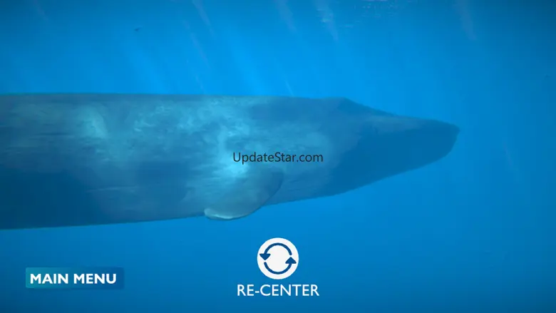 Blue Whale AR Encounter 2.0