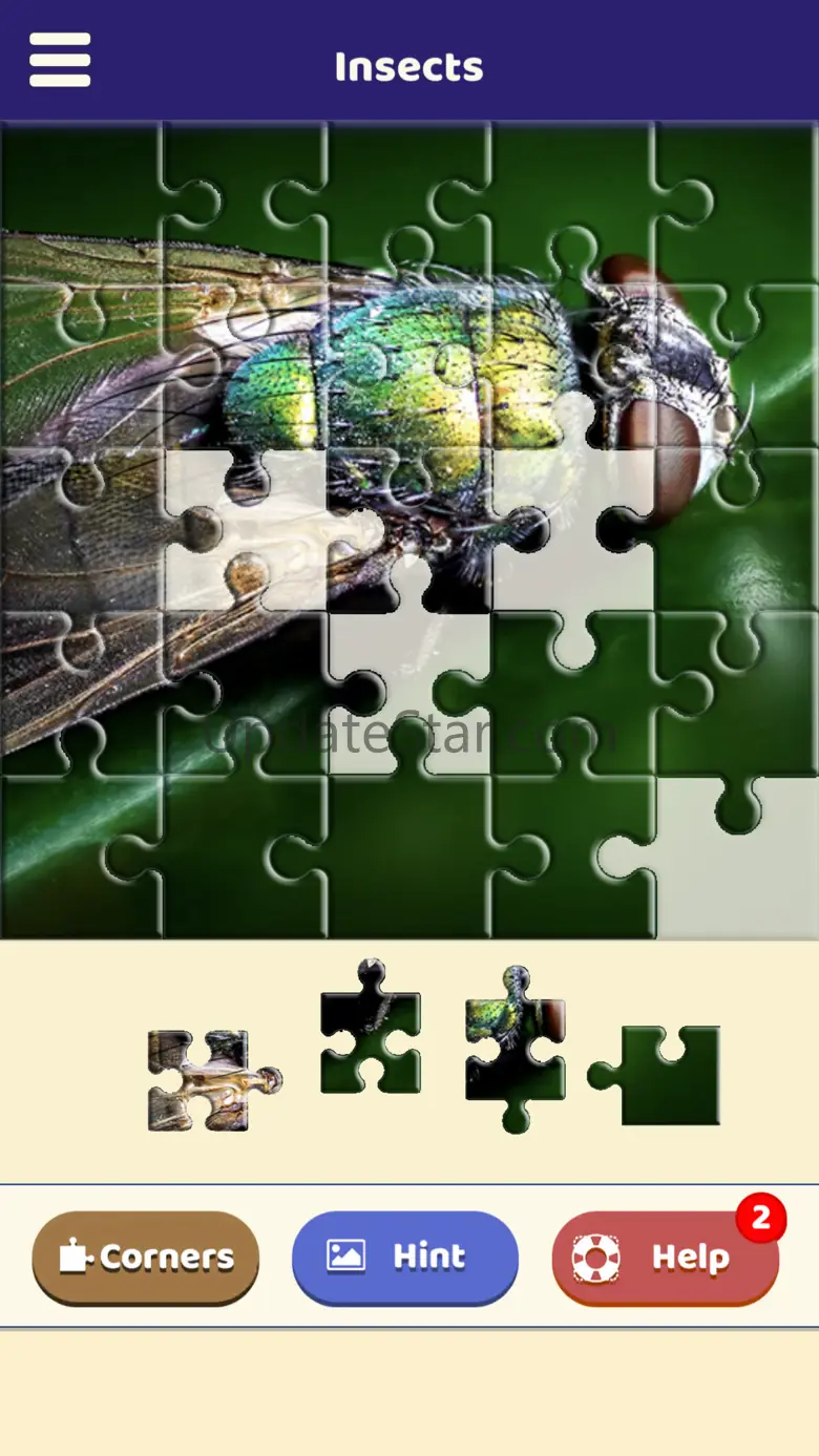 Insect Love Puzzle 1.0