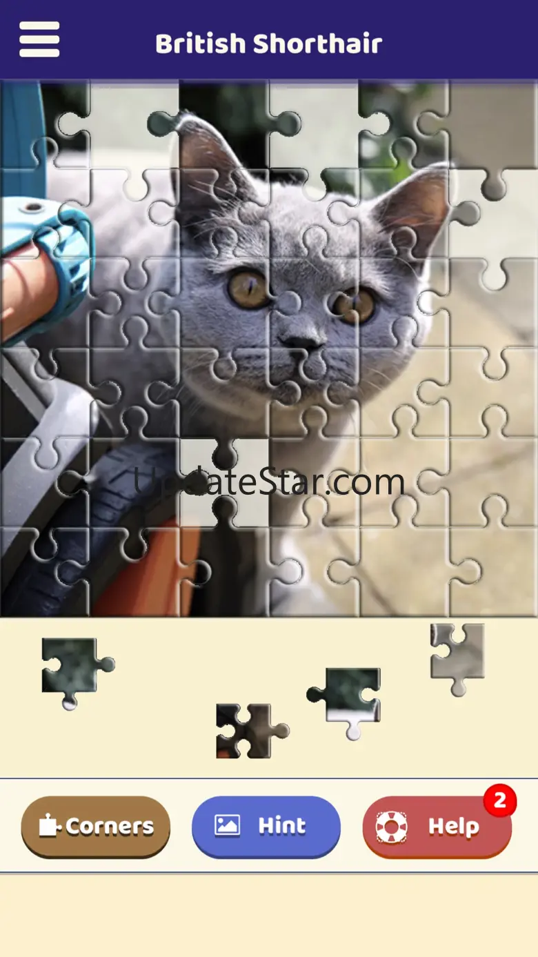British Shorthair Puzzle 1.0