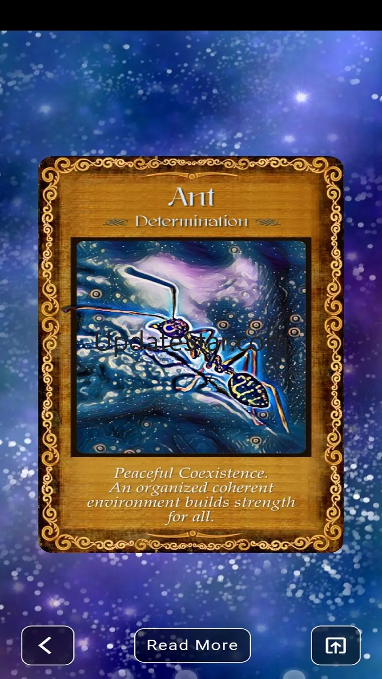 Animal Insight Oracle Cards New Version 1.2.0