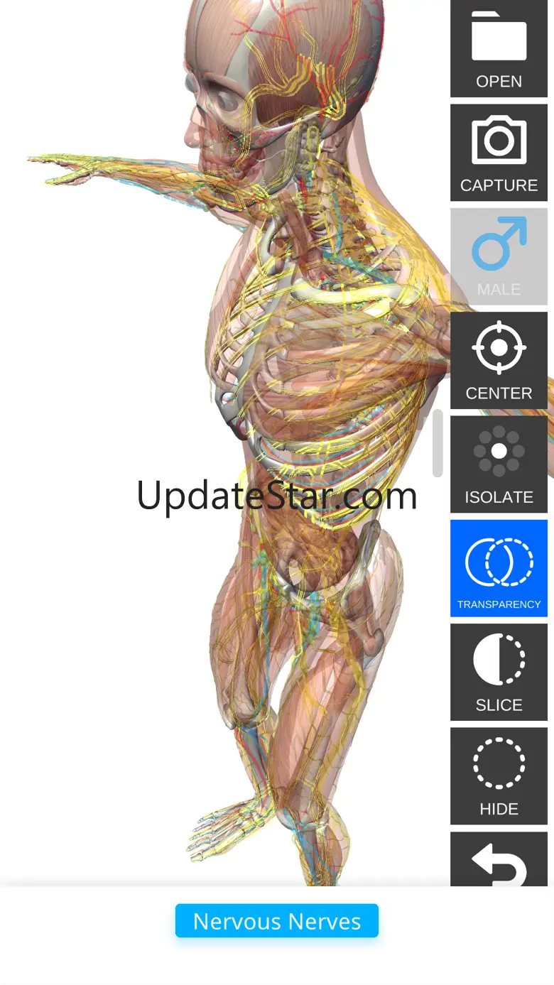 Anatomy View 1.3