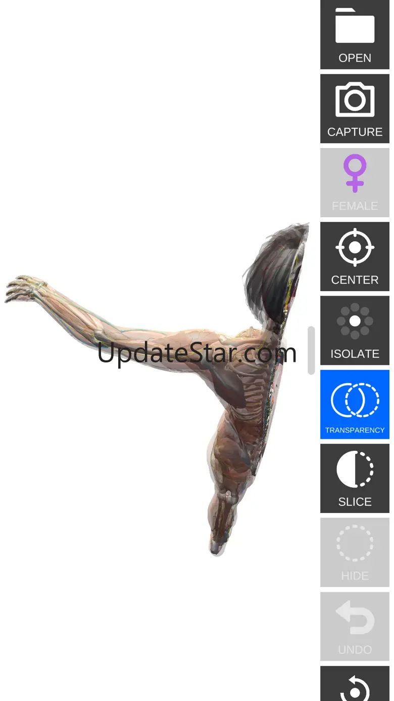 Anatomy View 1.3