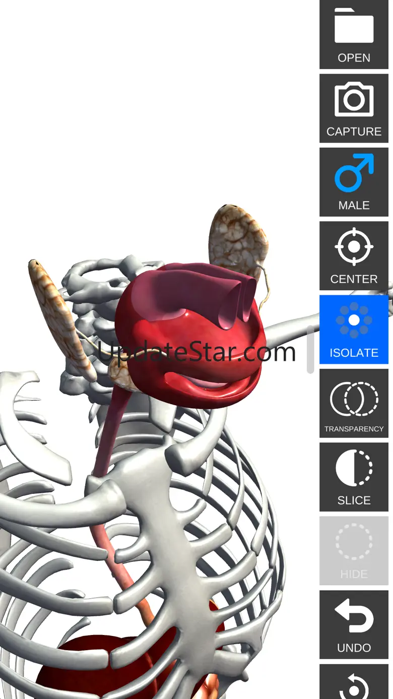 Anatomy View 1.3