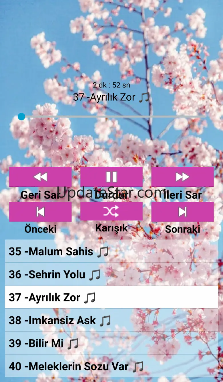 Feride H. Akın. Müzikleri