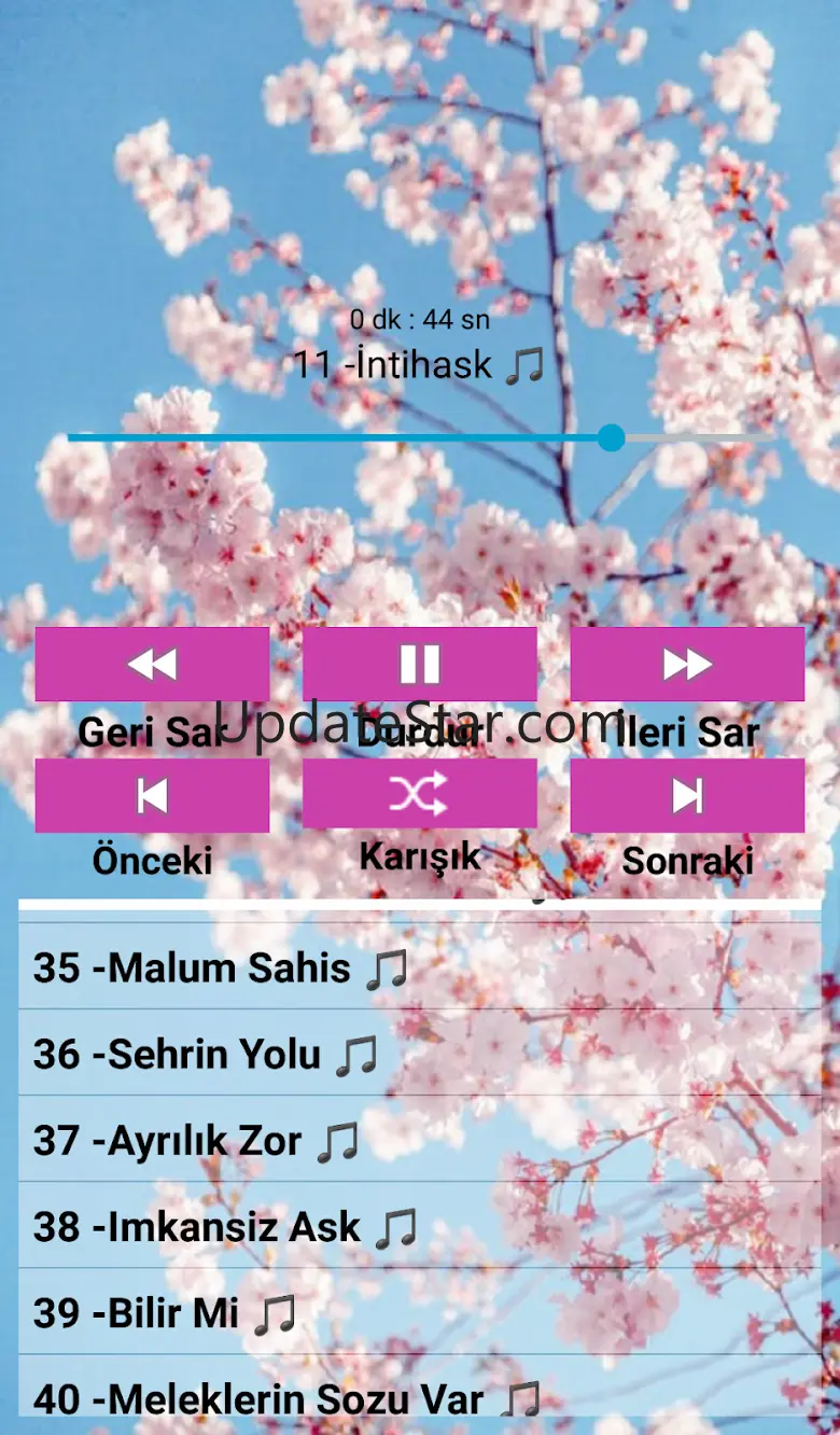 Feride H. Akın. Müzikleri
