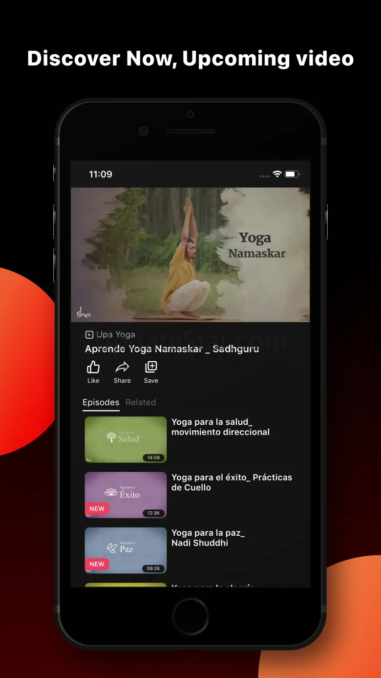 Panea 1.3.5