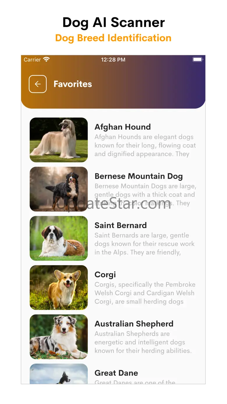 Dog AI Scanner and Identifier 1.0