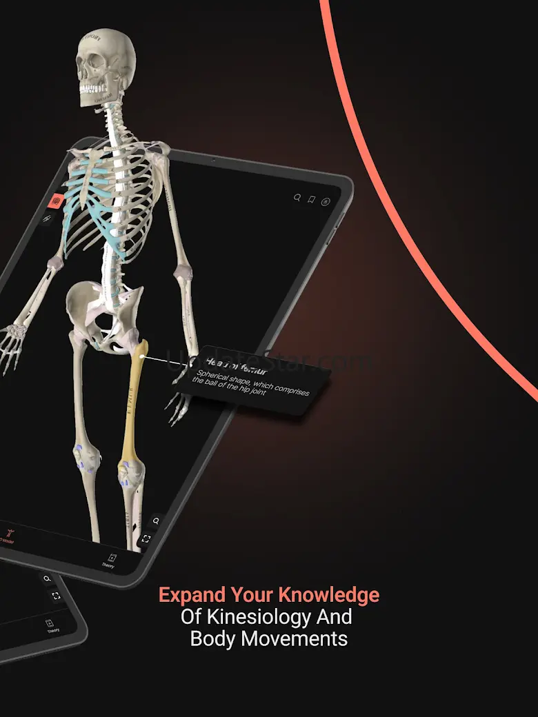 Anatomy by M&M 3.0.1