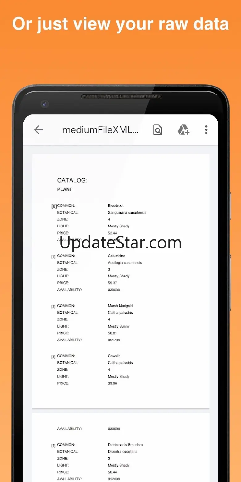 XMLtoPDF - XML/JSON to PDF 2.1