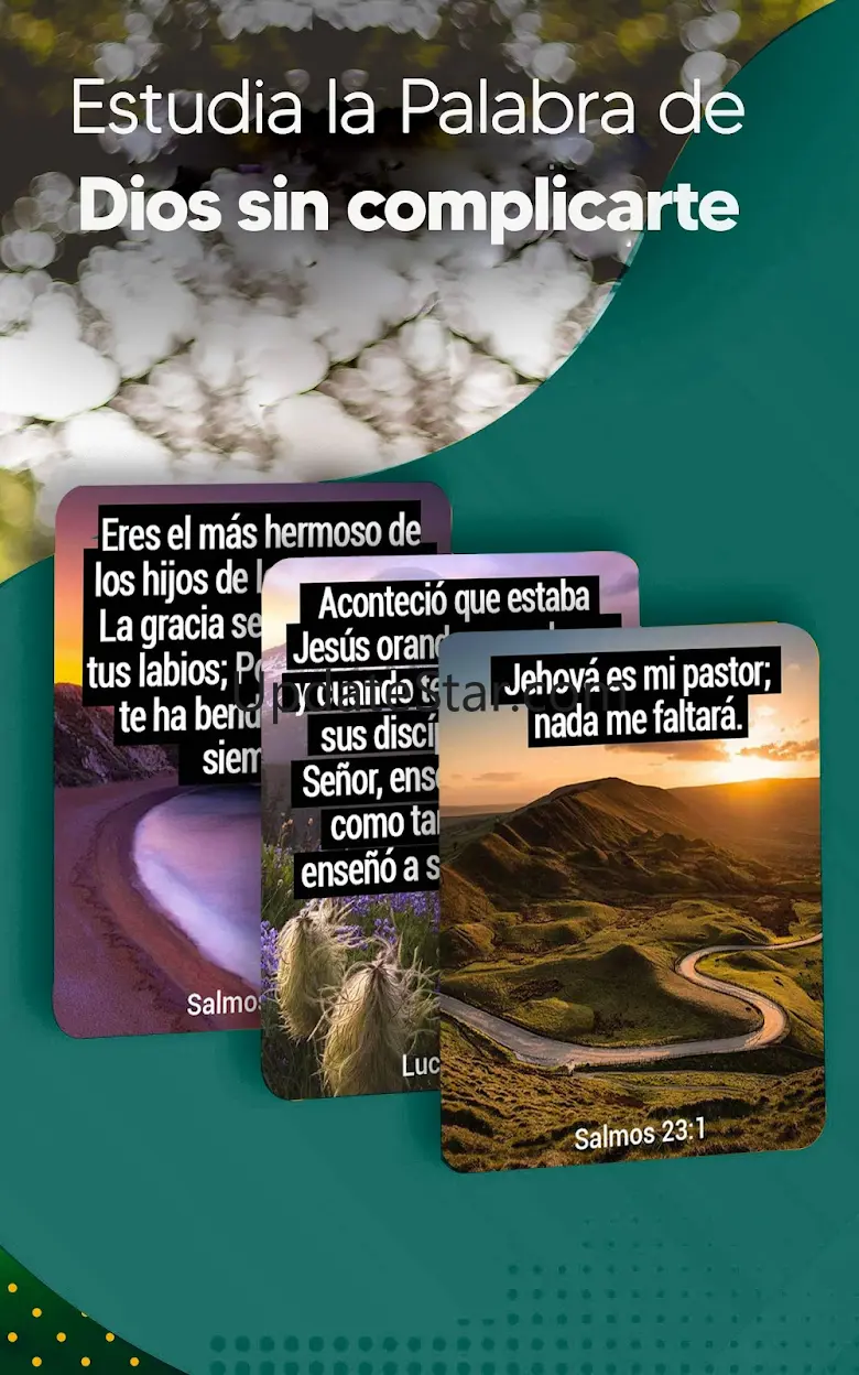 Biblia Reina Valera sencilla Biblia Reina Valera Gratis Sencilla 14.0