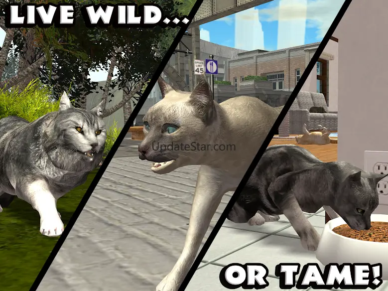 Ultimate Cat Simulator 3.0