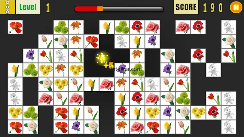 Onet Classic 2.5
