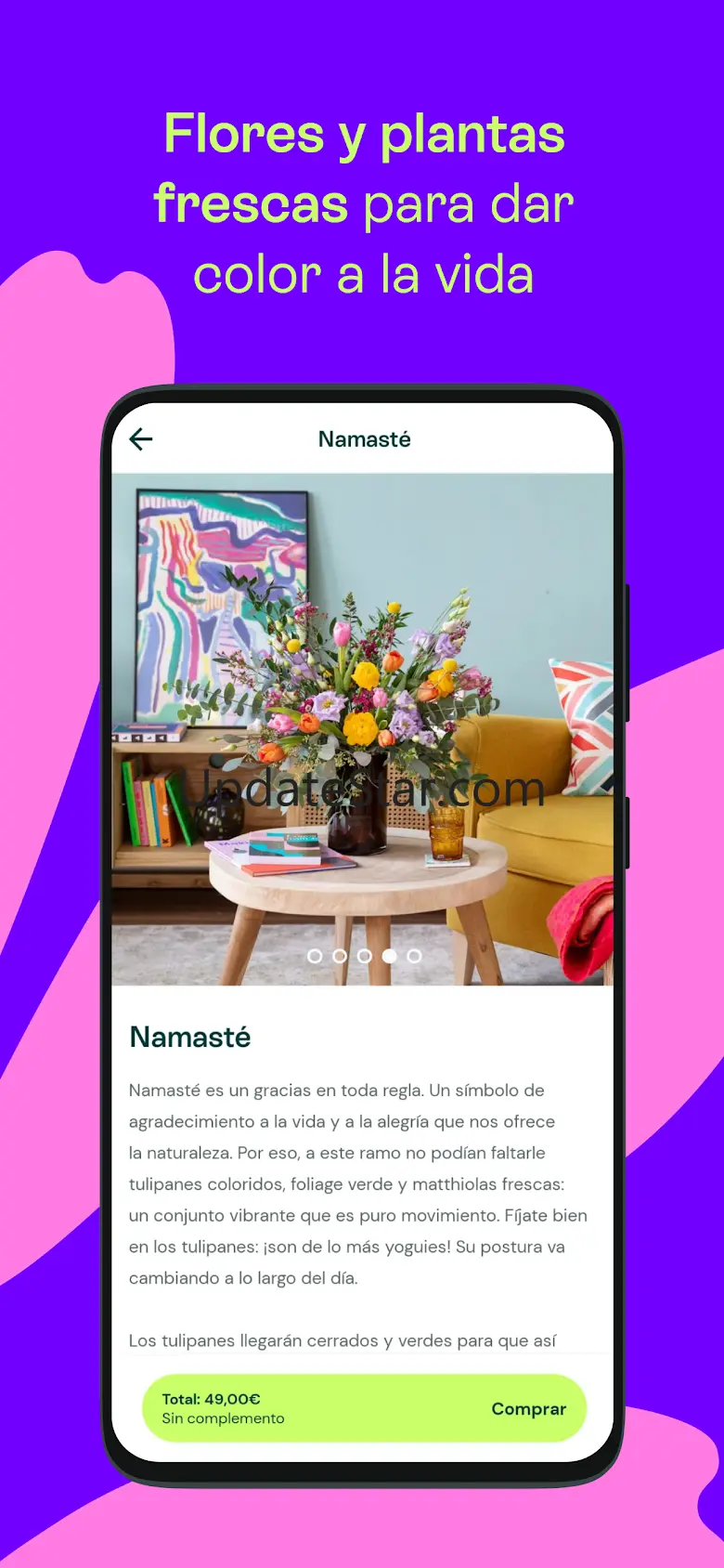 Colvin 2.0.6